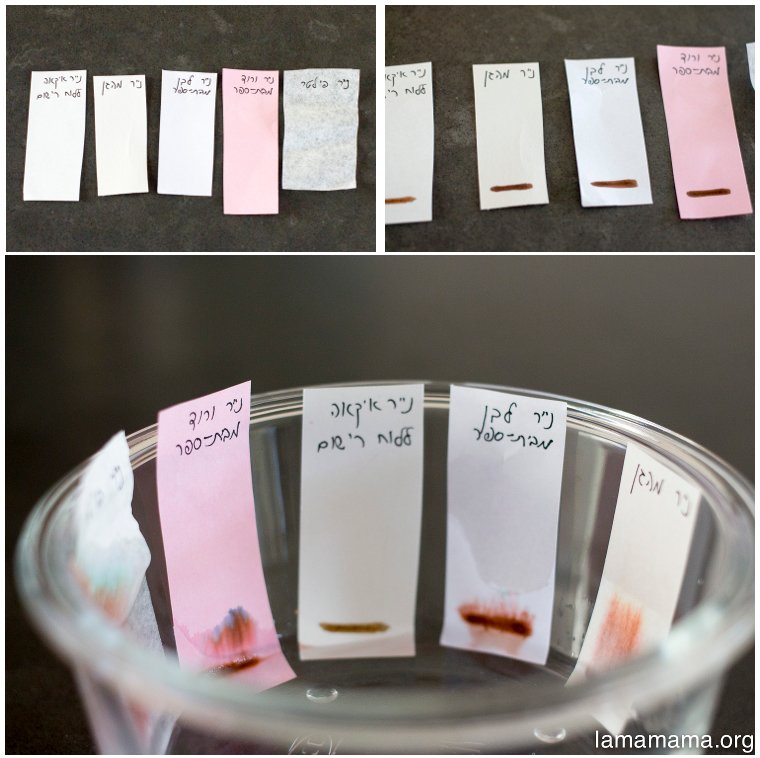Chromatography-paper