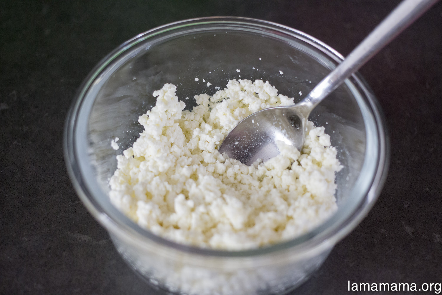 cottage-cheese-6